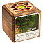 Набор для выращивания с органайзером «Экокуб Burn», сосна с логотипом в Астрахани заказать по выгодной цене в кибермаркете AvroraStore
