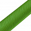 Браслет Wristler, зеленый с логотипом в Астрахани заказать по выгодной цене в кибермаркете AvroraStore