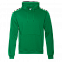 Толстовка Толстовка 20 Зелёный с логотипом в Астрахани заказать по выгодной цене в кибермаркете AvroraStore