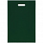 Чехол для пропуска Shall, зеленый с логотипом в Астрахани заказать по выгодной цене в кибермаркете AvroraStore