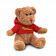 Медведь плюшевый в футболке с логотипом в Астрахани заказать по выгодной цене в кибермаркете AvroraStore