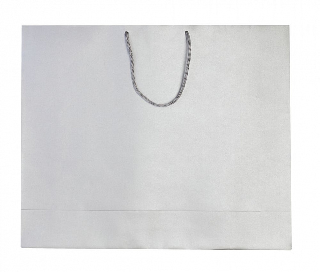 Пакет бумажный «Блеск», большой, серебристый с логотипом в Астрахани заказать по выгодной цене в кибермаркете AvroraStore