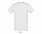 Фуфайка (футболка) REGENT мужская,Темно-фиолетовый XXS с логотипом в Астрахани заказать по выгодной цене в кибермаркете AvroraStore