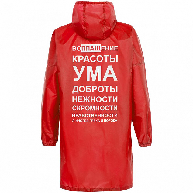 Дождевик «Воплащение всего», красный с логотипом в Астрахани заказать по выгодной цене в кибермаркете AvroraStore