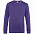 Свитшот унисекс King, фиолетовый с логотипом в Астрахани заказать по выгодной цене в кибермаркете AvroraStore