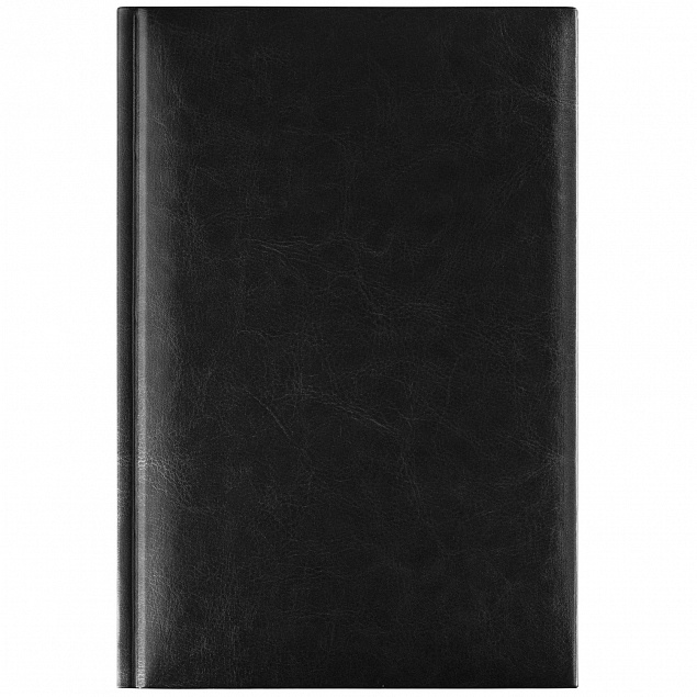 Ежедневник Birmingham, А5, датированный (2024 г.), черный с логотипом в Астрахани заказать по выгодной цене в кибермаркете AvroraStore