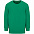 Свитшот детский Columbia Kids, ярко-зеленый с логотипом в Астрахани заказать по выгодной цене в кибермаркете AvroraStore