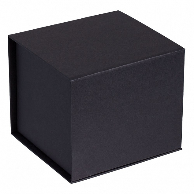 Коробка Alian, черная с логотипом в Астрахани заказать по выгодной цене в кибермаркете AvroraStore
