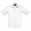 Рубашка мужская BRISTOL 105 с логотипом в Астрахани заказать по выгодной цене в кибермаркете AvroraStore
