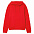 Худи унисекс Phoenix, красное с логотипом в Астрахани заказать по выгодной цене в кибермаркете AvroraStore