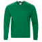 Толстовка StanSweatshirt Зелёный с логотипом в Астрахани заказать по выгодной цене в кибермаркете AvroraStore