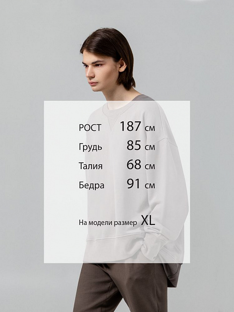 Свитшот Kosmos, серый с логотипом в Астрахани заказать по выгодной цене в кибермаркете AvroraStore