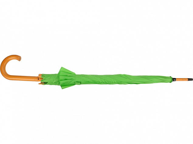 Зонт-трость Радуга, зеленое яблоко с логотипом в Астрахани заказать по выгодной цене в кибермаркете AvroraStore