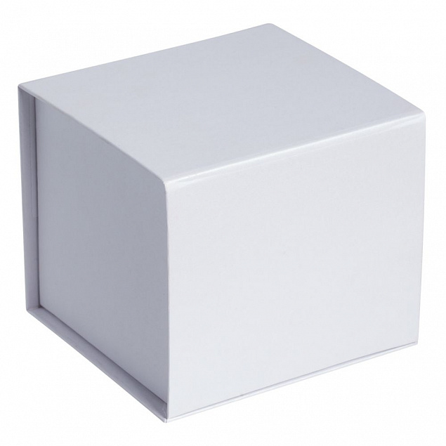 Коробка Alian, белая с логотипом в Астрахани заказать по выгодной цене в кибермаркете AvroraStore