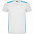 Спортивная футболка DETROIT мужская, ПАЛИСАНДР/ЧЕРНЫЙ 2XL с логотипом в Астрахани заказать по выгодной цене в кибермаркете AvroraStore