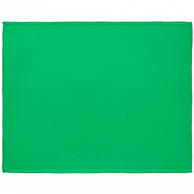 Плед Plush, зеленый с логотипом в Астрахани заказать по выгодной цене в кибермаркете AvroraStore