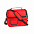 Термосумка BEMEL, красный, 25 x 24 x 15 см, полиэстер 600D с логотипом в Астрахани заказать по выгодной цене в кибермаркете AvroraStore