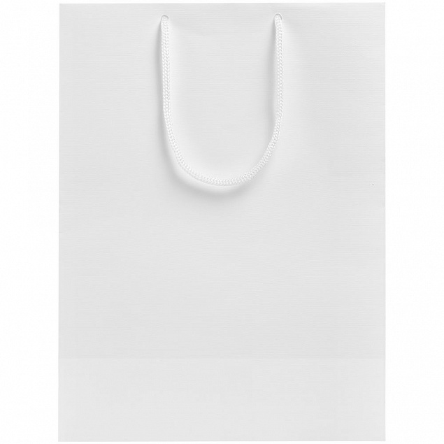Пакет «Крафт», белый, M с логотипом в Астрахани заказать по выгодной цене в кибермаркете AvroraStore