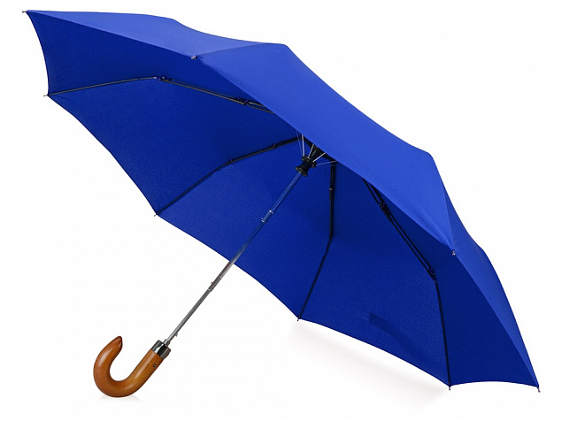 Зонт складной Cary с логотипом в Астрахани заказать по выгодной цене в кибермаркете AvroraStore