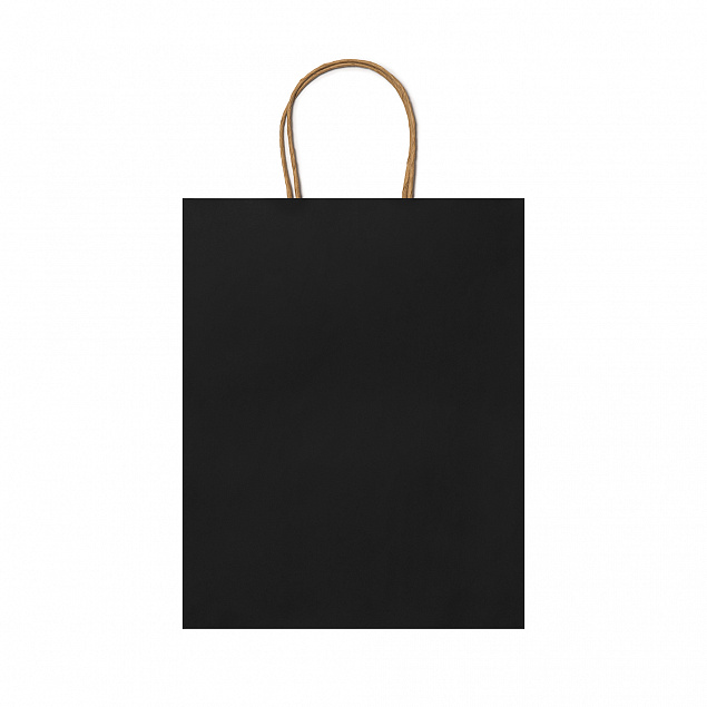 Пакет бумажный ARCE, Черный с логотипом в Астрахани заказать по выгодной цене в кибермаркете AvroraStore