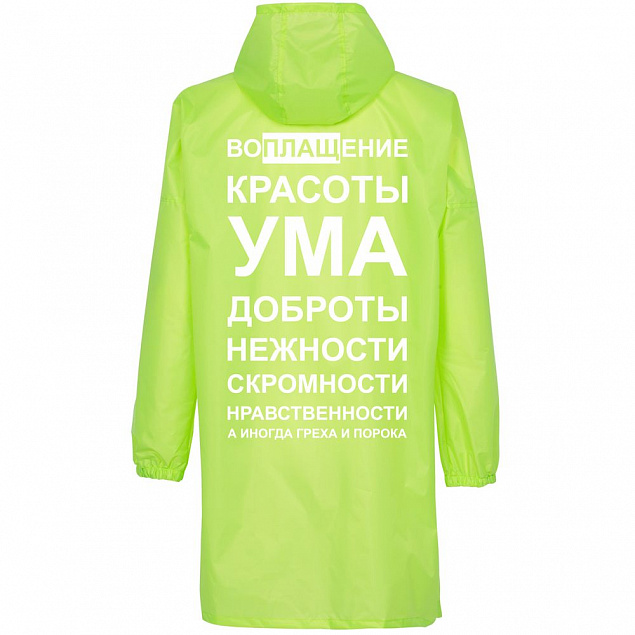Дождевик «Воплащение всего», неоново-желтый с логотипом в Астрахани заказать по выгодной цене в кибермаркете AvroraStore