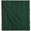 Плед Stille, зеленый с логотипом в Астрахани заказать по выгодной цене в кибермаркете AvroraStore