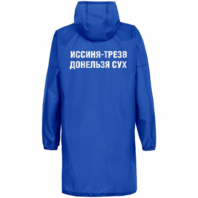 Дождевик «Иссиня-трезв», ярко-синий с логотипом в Астрахани заказать по выгодной цене в кибермаркете AvroraStore
