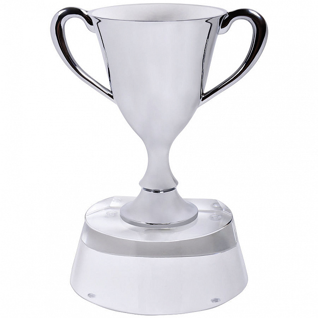 Стела  "Кубок победителя" в подарочной упаковке с логотипом в Астрахани заказать по выгодной цене в кибермаркете AvroraStore