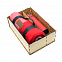 Подарочный набор Айзек, красный с логотипом в Астрахани заказать по выгодной цене в кибермаркете AvroraStore