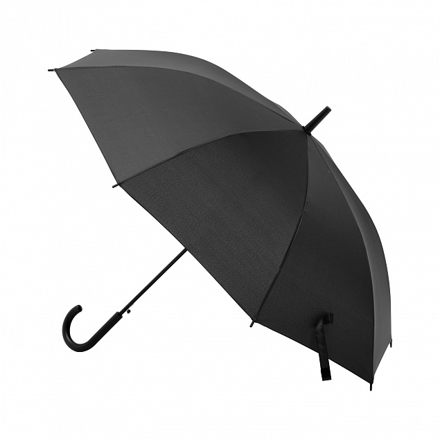 Зонт-трость, Bergwind, черный с логотипом в Астрахани заказать по выгодной цене в кибермаркете AvroraStore
