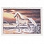 Картина «Лошадь» в серебристой раме с логотипом в Астрахани заказать по выгодной цене в кибермаркете AvroraStore