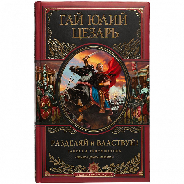 Книга «Разделяй и властвуй» с логотипом в Астрахани заказать по выгодной цене в кибермаркете AvroraStore