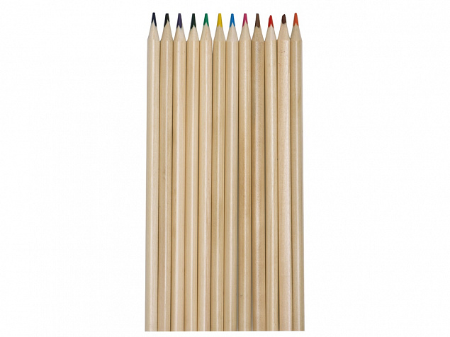 Набор из 12 трехгранных цветных карандашей «Painter» с логотипом в Астрахани заказать по выгодной цене в кибермаркете AvroraStore